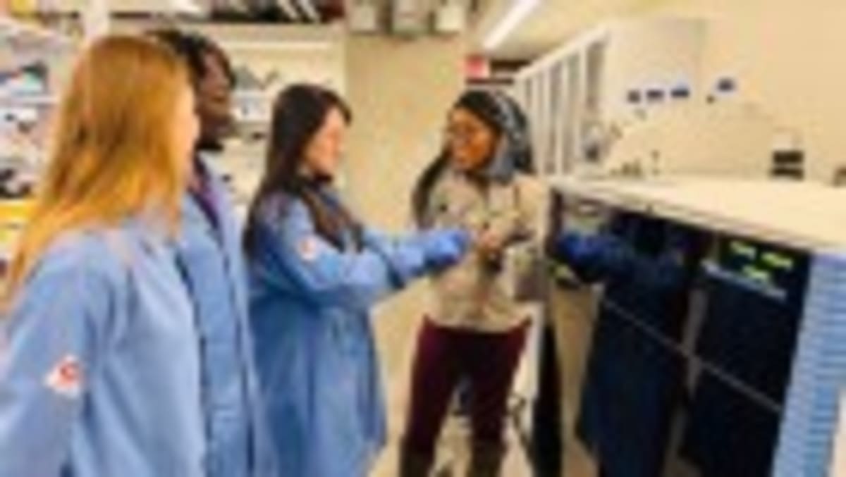 2,000 Cities Prove Green Growth Works - Image 3