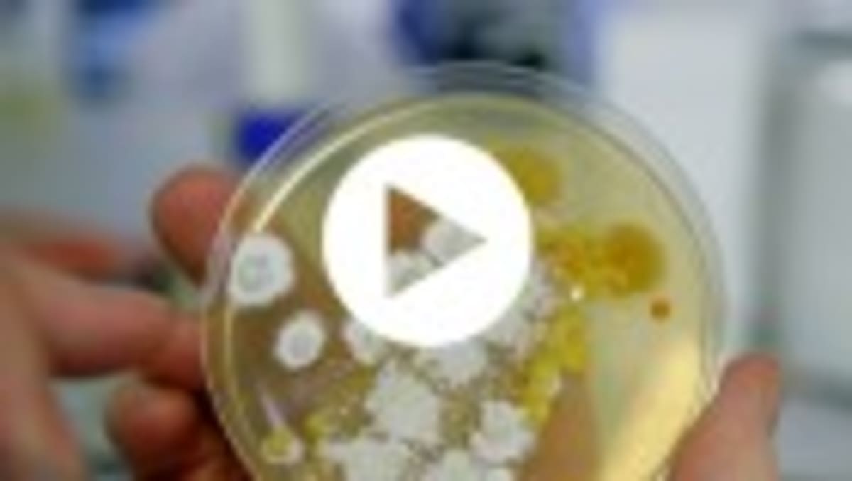 Old Antibiotics Get New Life Fighting Superbugs - Image 2