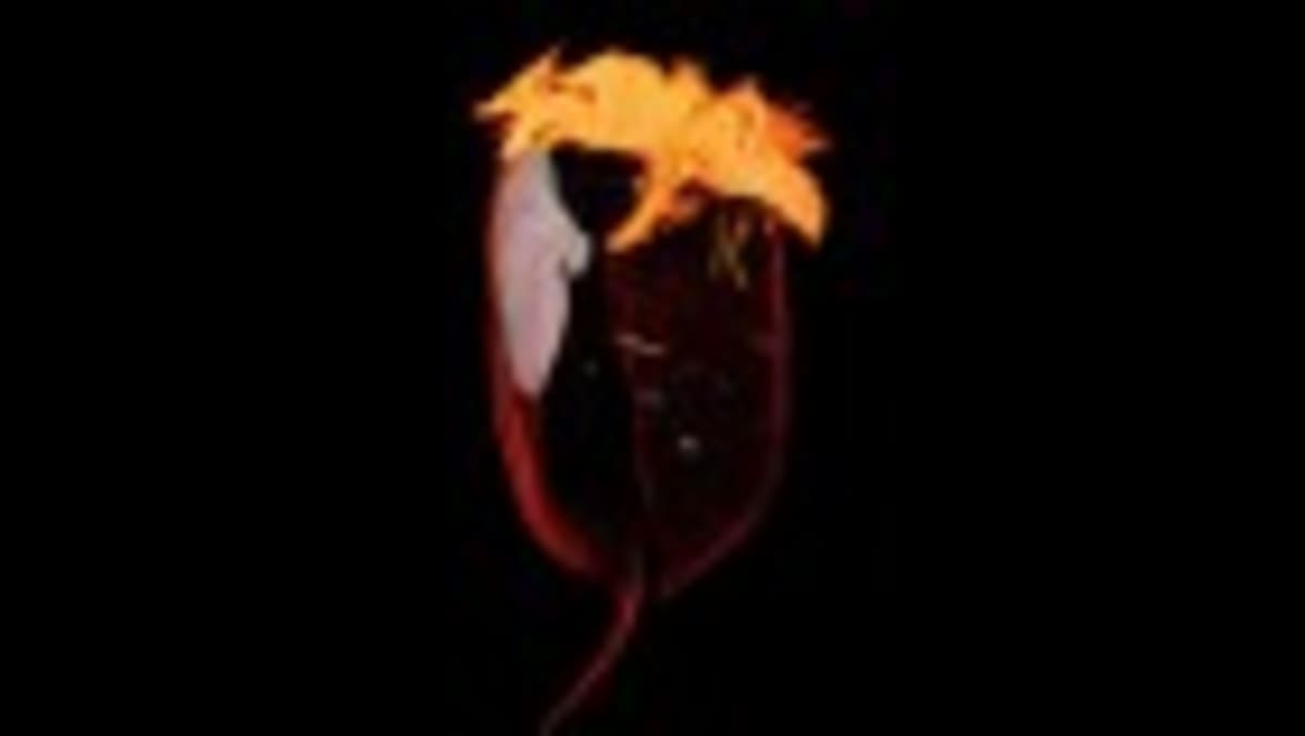 Scientists Give Mouse Eyes Plant Power to Fight Disease - Image 3