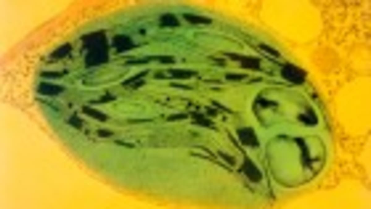 Open Source AI Maps 1 Billion Proteins for Free - Image 2