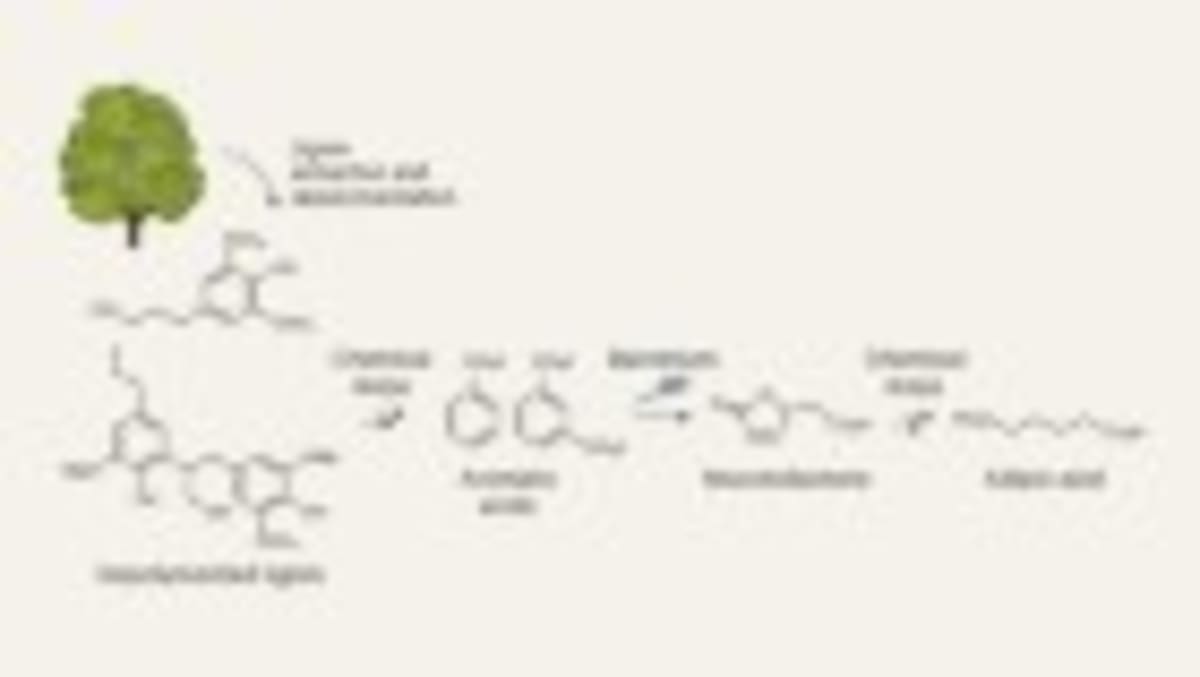 AI Company Rescues Failed Drugs to Save Lives - Image 5