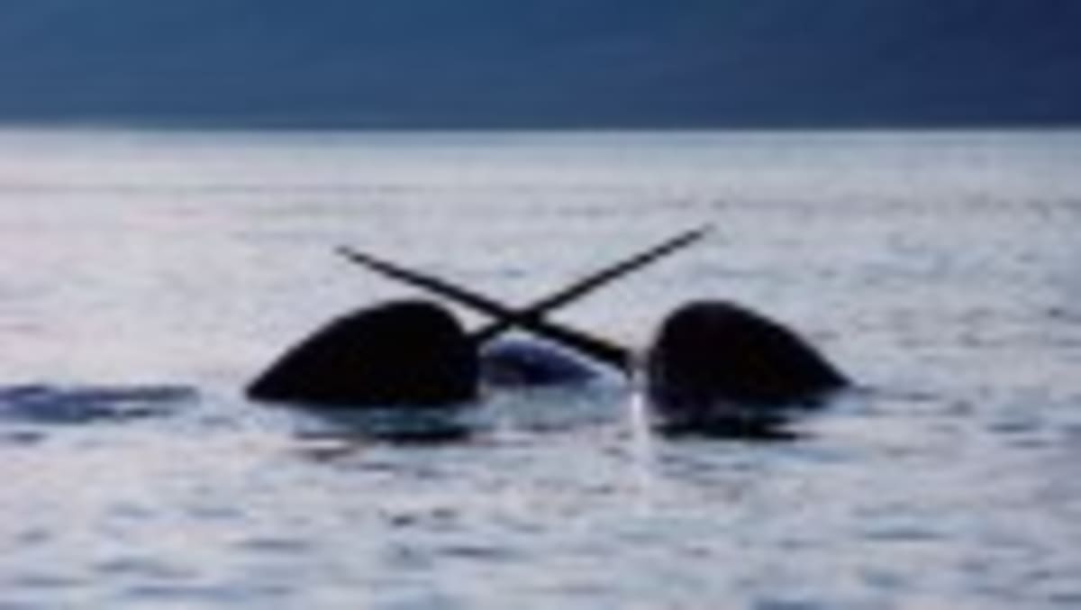 Scientists Team Up to Make Psychology More Reliable - Image 5