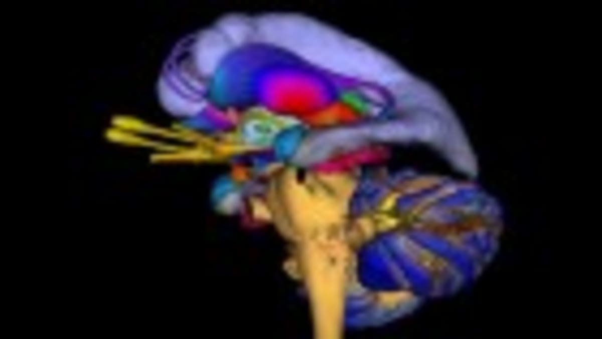 Scientists Find Brain Link May Unlock Lung Cancer Treatment - Image 5