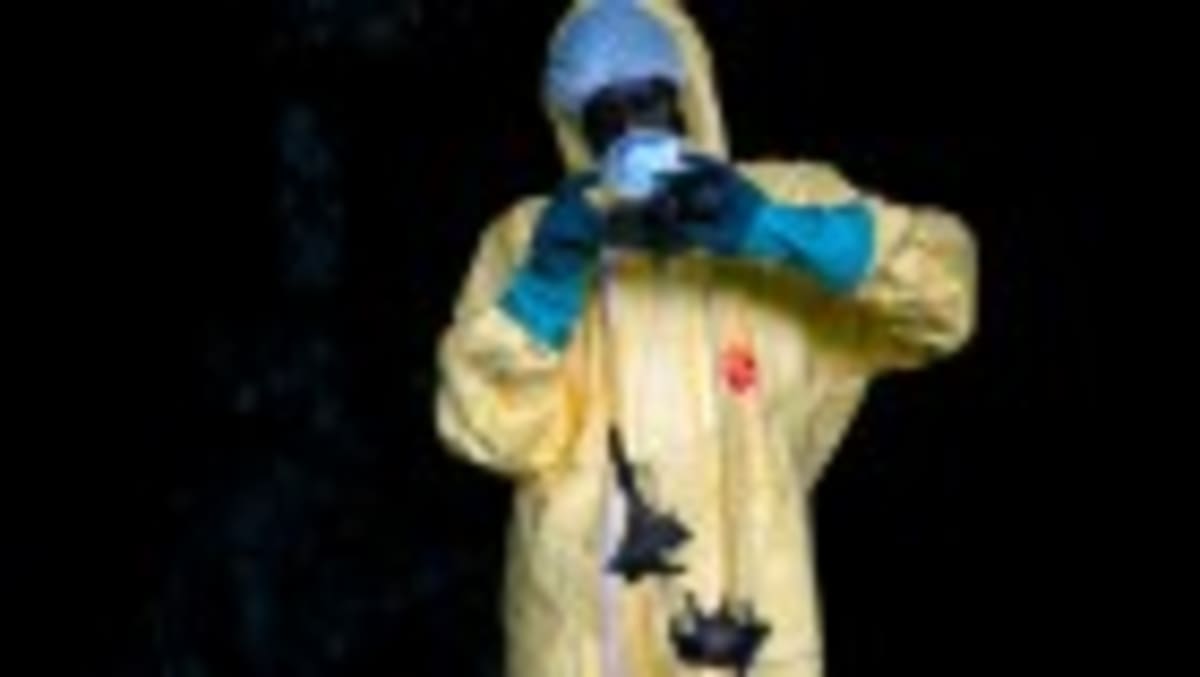 Africa CDC Leads Major Ebola Response in Central Africa - Image 2