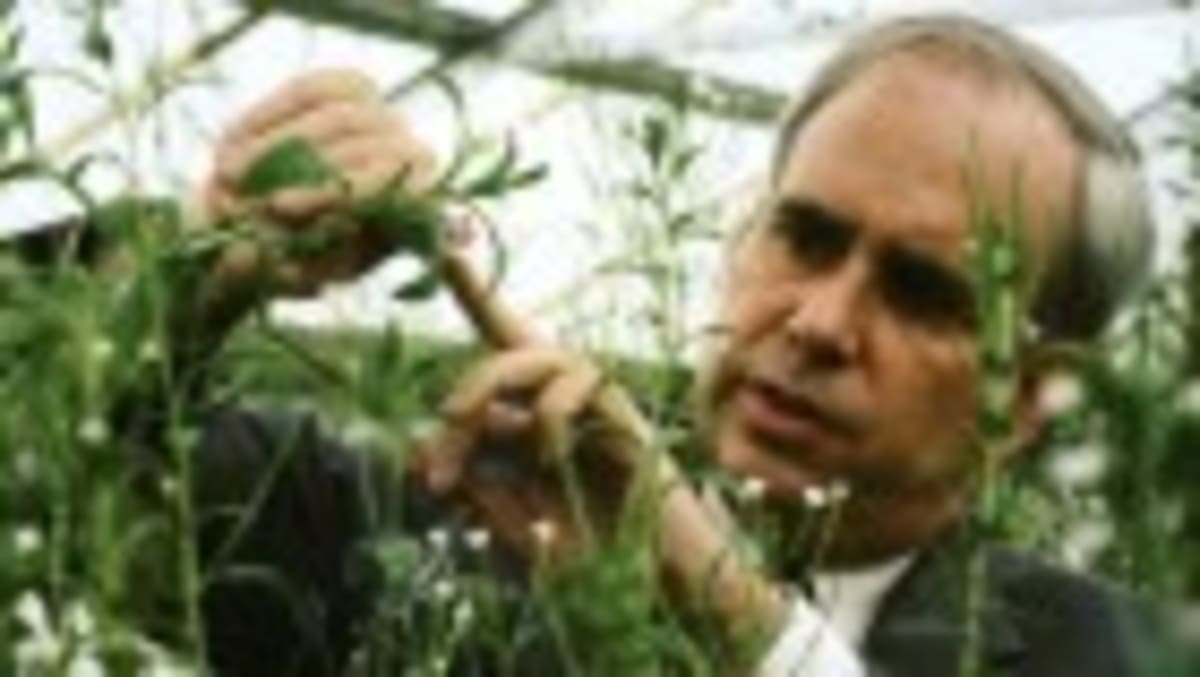Scientist Bridget Ogilvie Built Genomics Empire from Farm Roots - Image 2