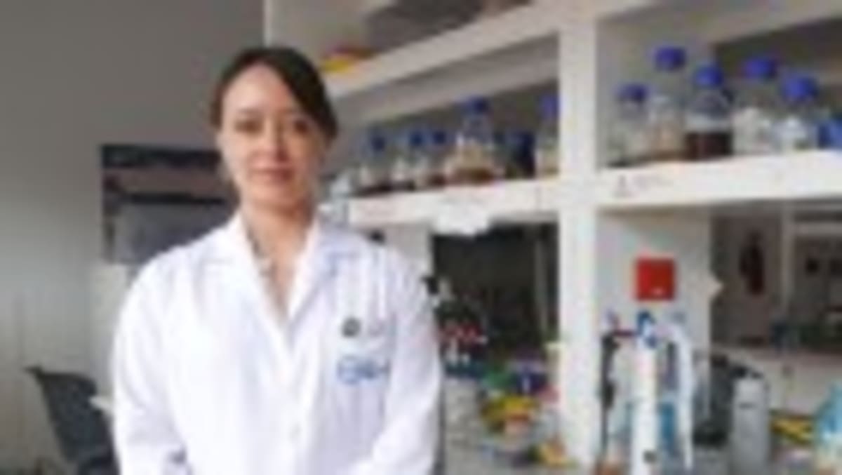 Scientists Find Joy and Purpose Through Volunteer Work - Image 2