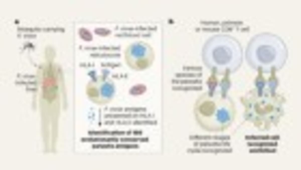 Ebola Vaccine Reaches Trials Just 68 Days After Outbreak - Image 4