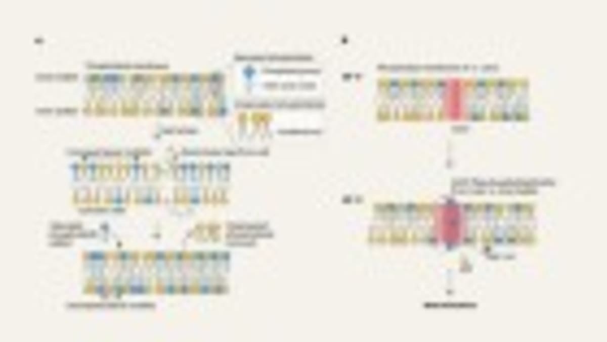 Scientists Create Early Human Sperm Cells in Major Leap - Image 3
