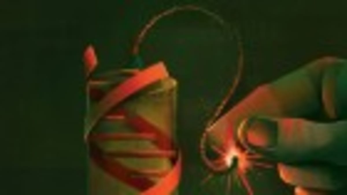 Scientists Transplant Cells Between Ancient Sea Creatures - Image 2