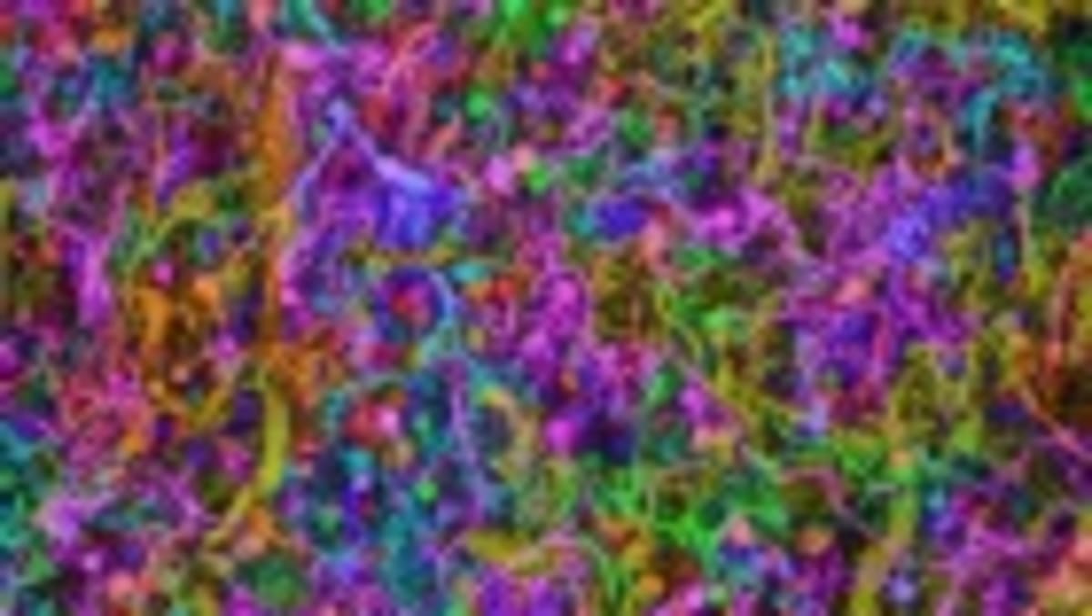 Scientists Find Ways to Cut Dementia Risk by 45% - Image 2
