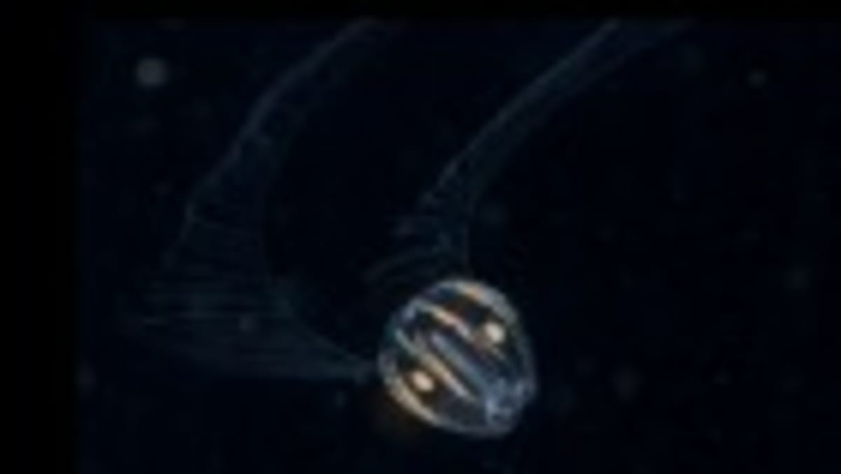 Scientists Create Early Human Sperm Cells in Major Leap - Image 5
