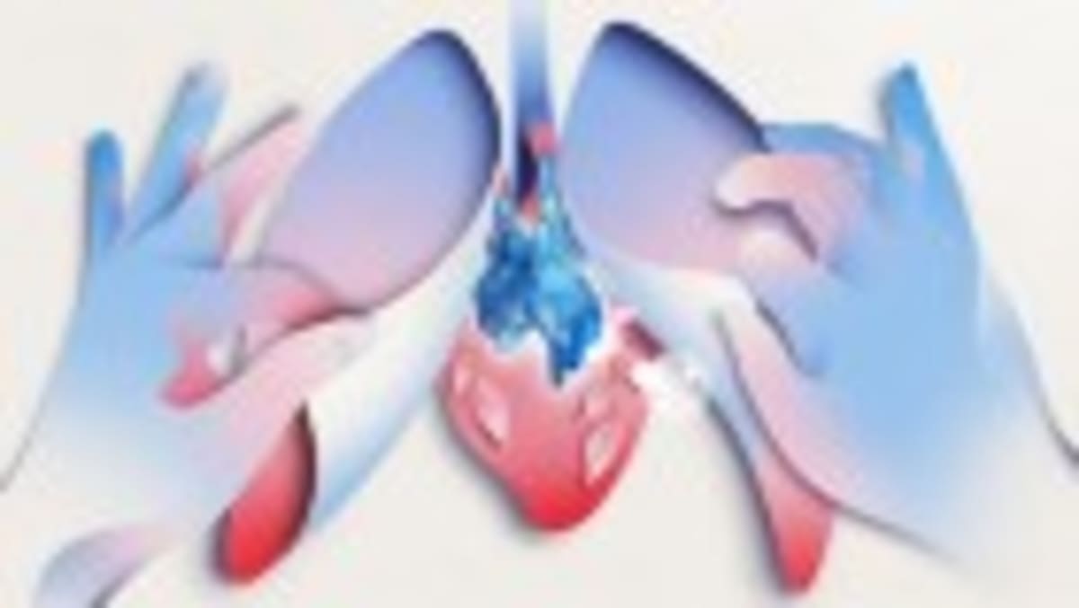 Frozen Tissue Restores Fertility 16 Years Later - Image 4