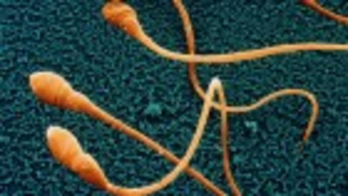 How Evidence-Based Medicine Saved 50,000 Baby Lives - Image 3
