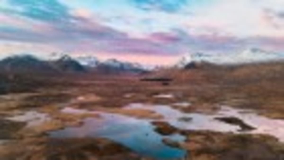 Scientists Discover Cooperation Drives Life on Earth - Image 3