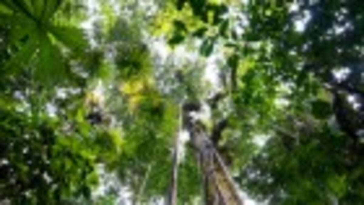 Scientists Discover Cooperation Drives Life on Earth - Image 4