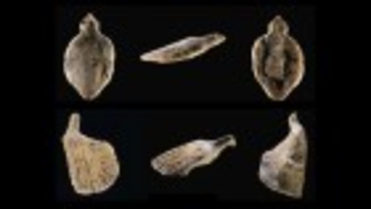Ancient DNA Solves 400-Year Smallpox Mystery in Chile - Image 2