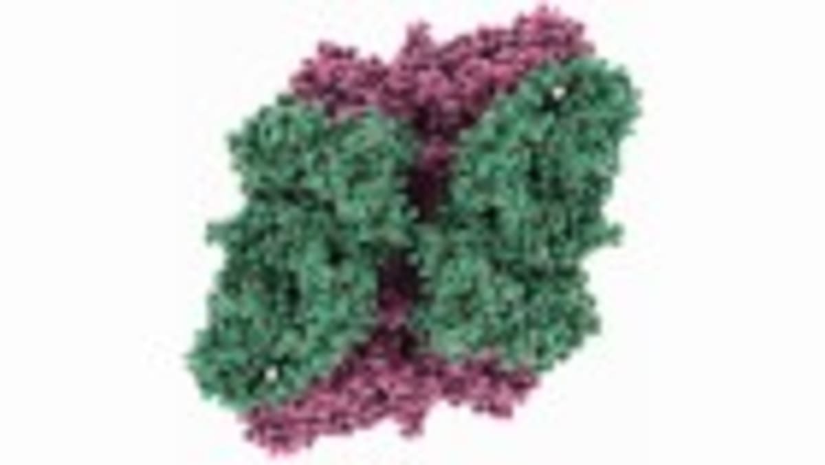 Male Hormones May Protect Boys from Asthma After Puberty - Image 2