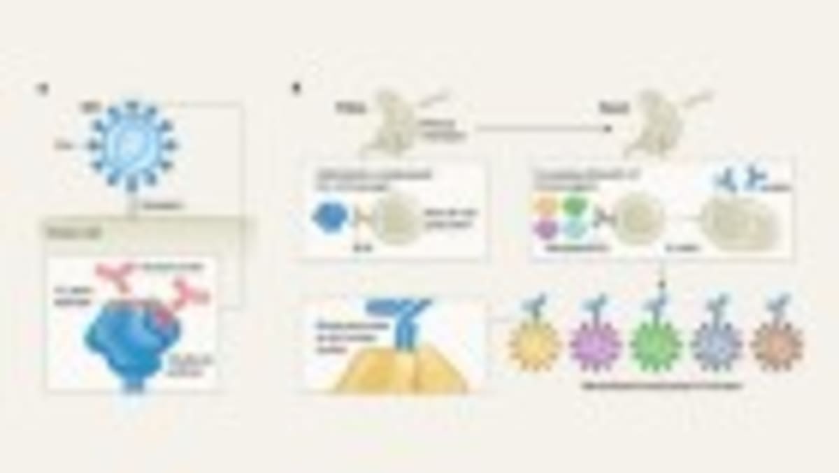 First Narcolepsy Drug Treats Root Cause, Not Just Symptoms - Image 5