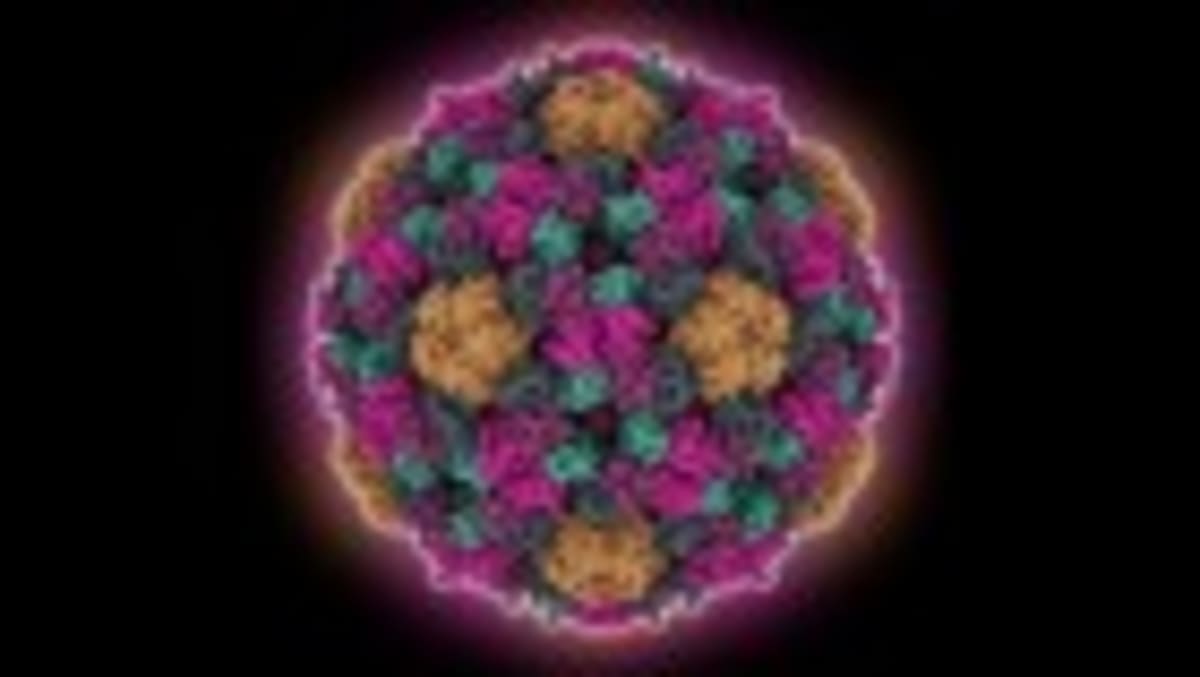UK Biobank Reopens After Security Upgrade Protects 500K - Image 5