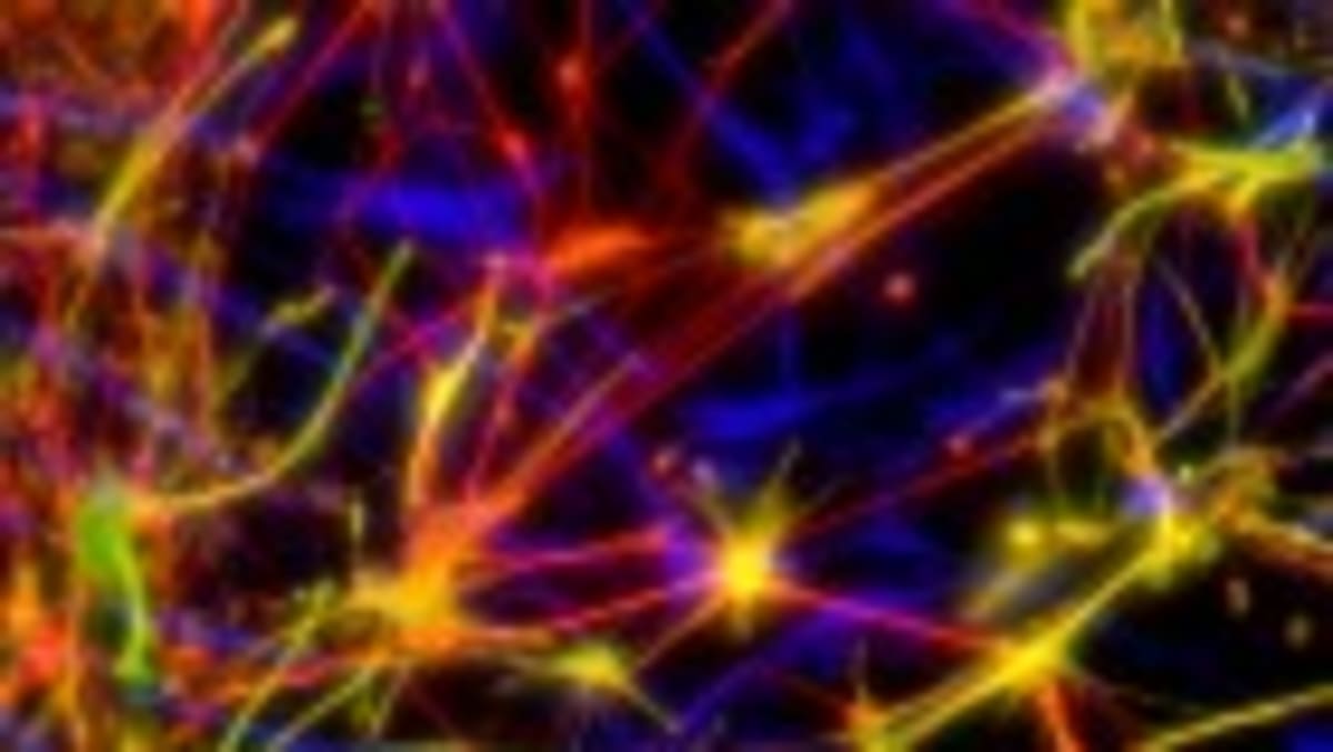 Brain Implant Lets Paralyzed People Talk and Gesture at Once - Image 3