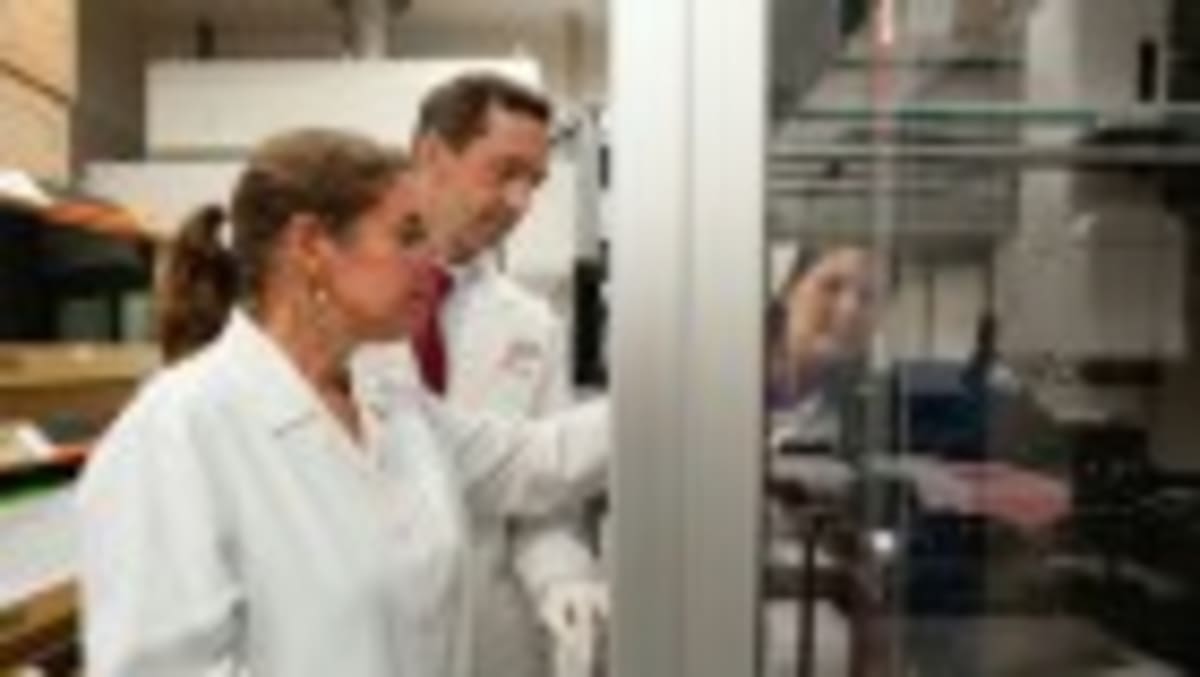 Gut Immune Cells Travel to Brain, Remember Infections - Image 3