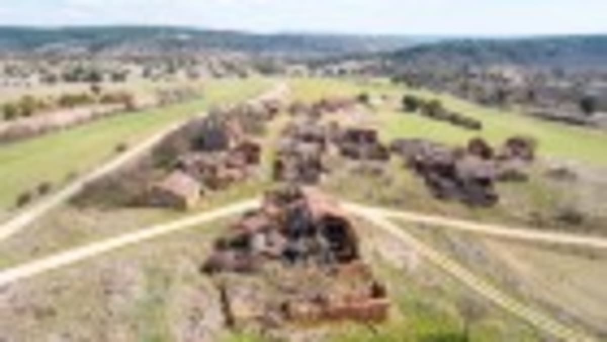 Amazon Patch Reveals 40,000 Insect Species Need Protection - Image 3