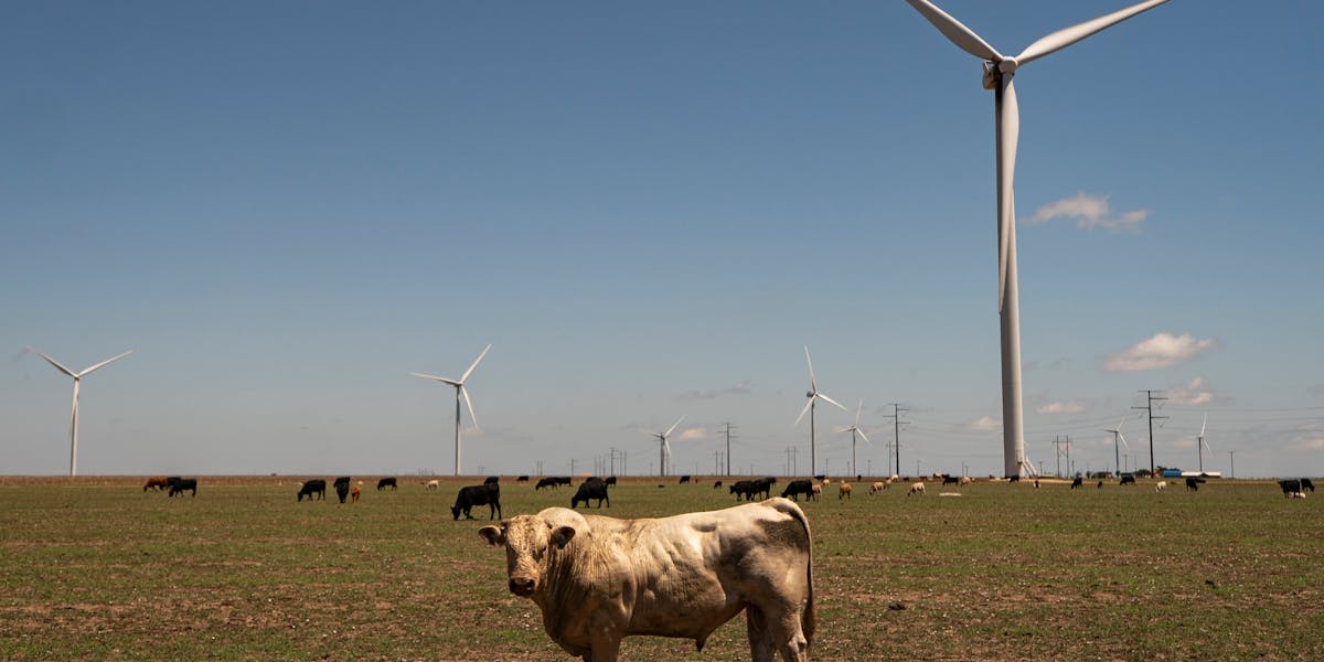 Texas Leads Nation in Wind Power Despite Trump Opposition - Image 2