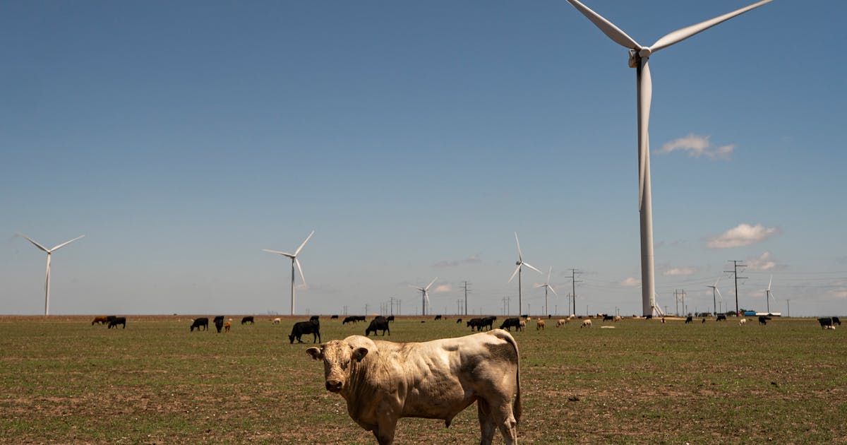 Rows of wind turbines spinning across vast Texas plains under blue sky