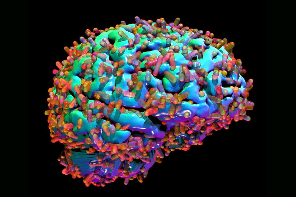 New Brain Treatment Boosts Memory in Alzheimer's Mice - Image 5