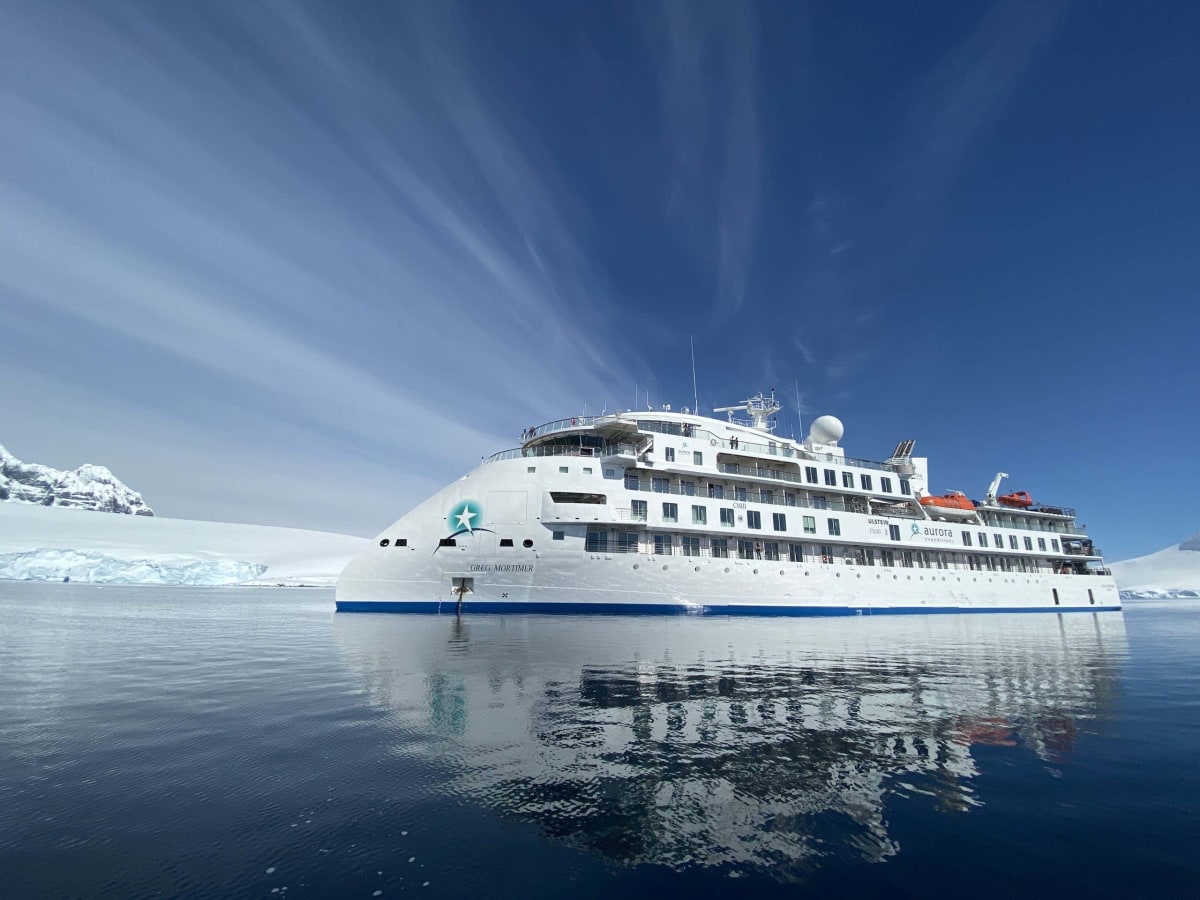 Sperm Whales Caught on Camera Helping Birth for First Time - Image 4