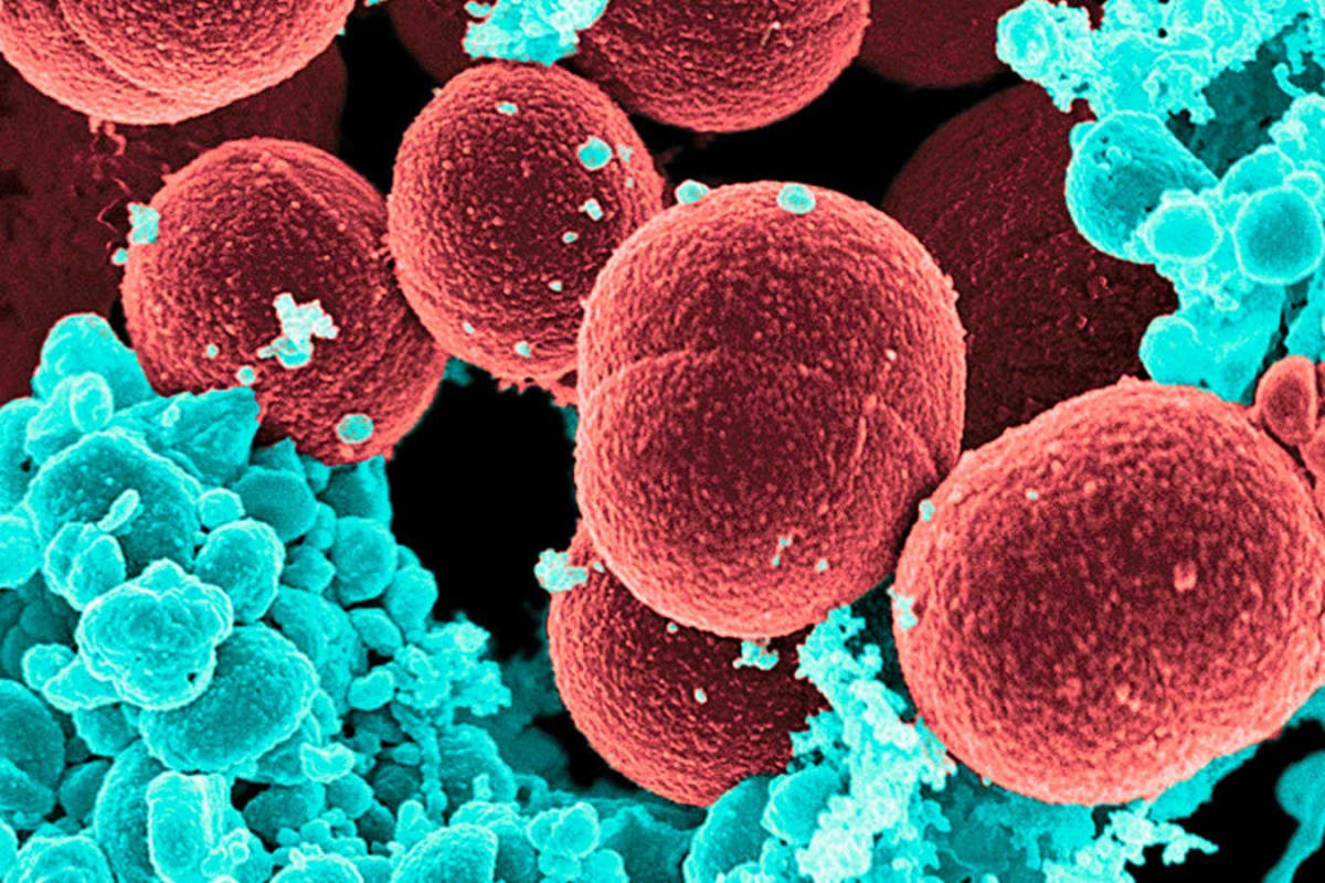 Daily Multivitamin May Slow Aging by 4 Months in 2 Years - Image 3