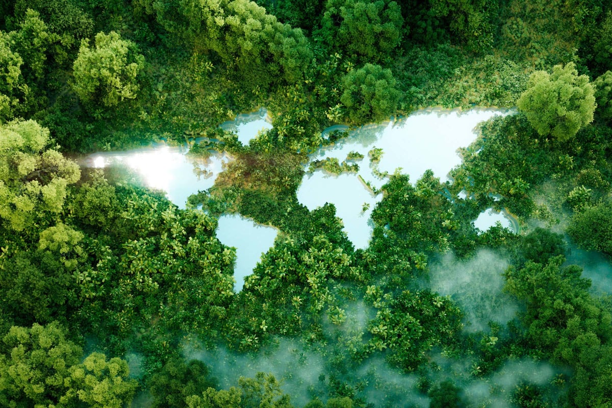 Two 'Extinct' Marsupials Found Alive After 6,000 Years - Image 2