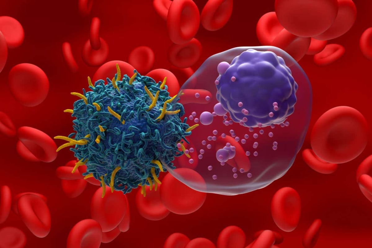 Making Cancer Cells Stiffer Boosts Immunotherapy Success - Image 4