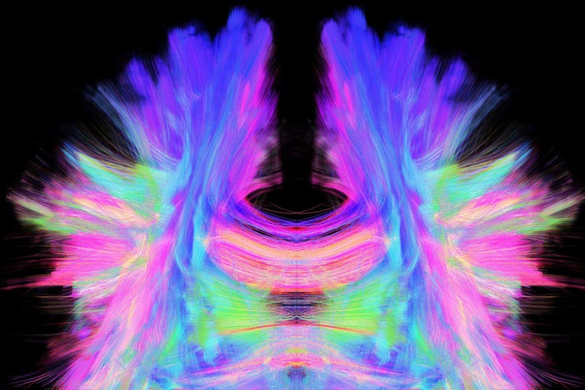 Worm Farms Turn Food Waste Into Garden Gold at Home - Image 2