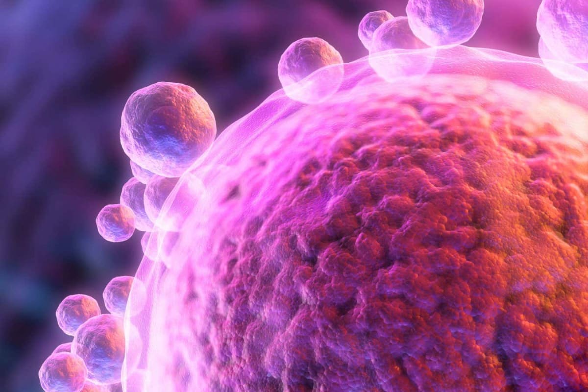 Scientists Build Cell From Scratch That Copies and Divides - Image 5
