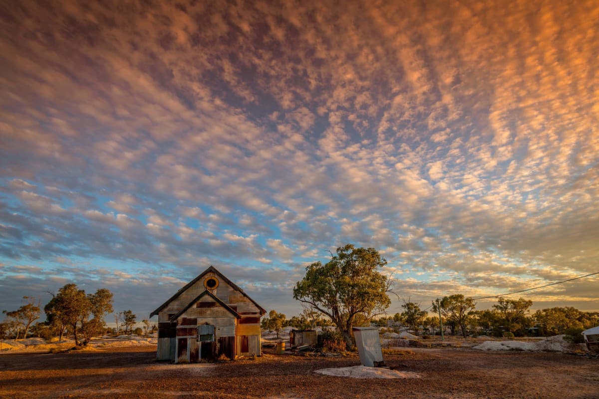 Two 'Extinct' Marsupials Found Alive After 6,000 Years - Image 4