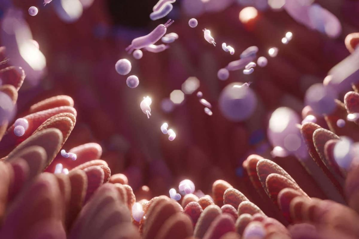 New Fiber Gets EU Approval to Help Prevent Weight Gain - Image 2