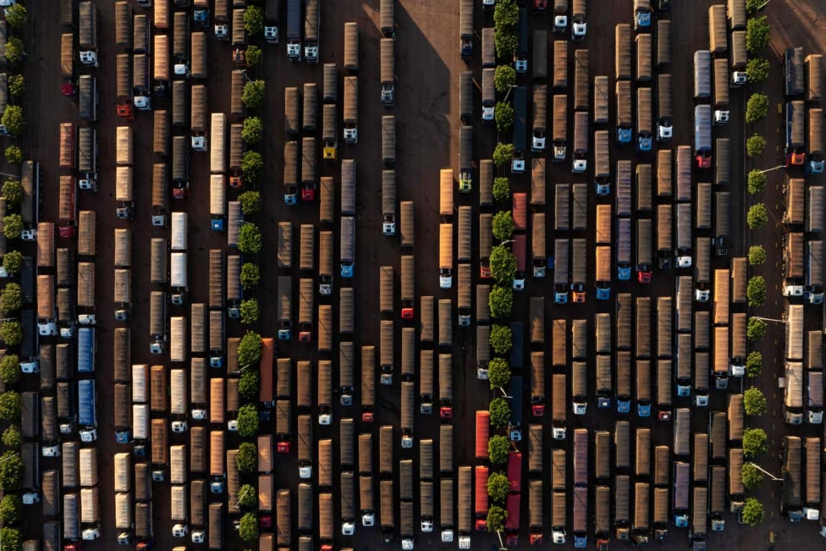 Forest Carbon Credits Work But Oversell Impact by 90% - Image 4
