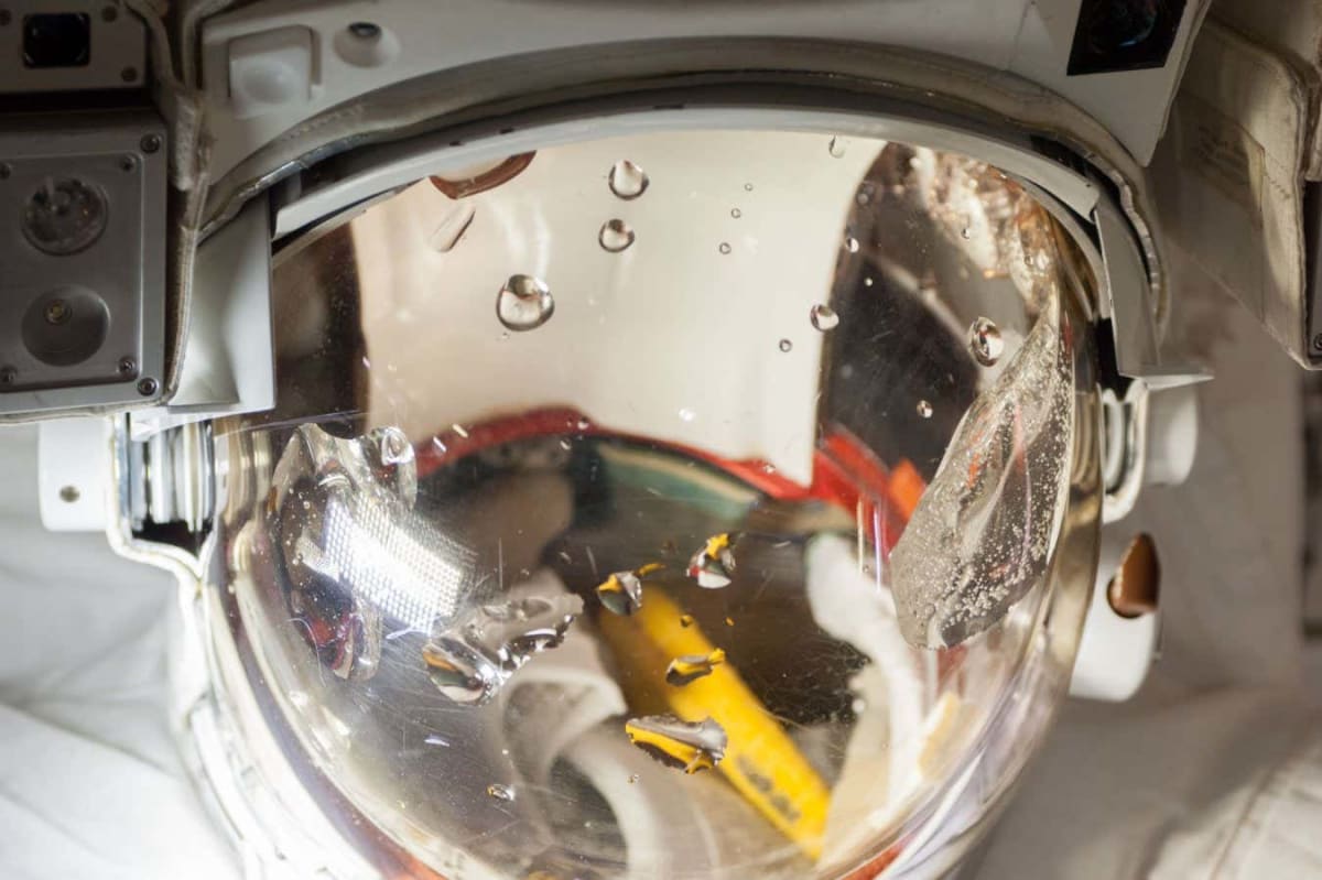 Astronaut's Calm Thinking Saved His Life in Space Emergency - Image 4