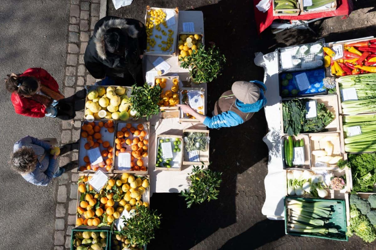 California Digesters Cut Dairy Farm Methane by Two-Thirds - Image 3
