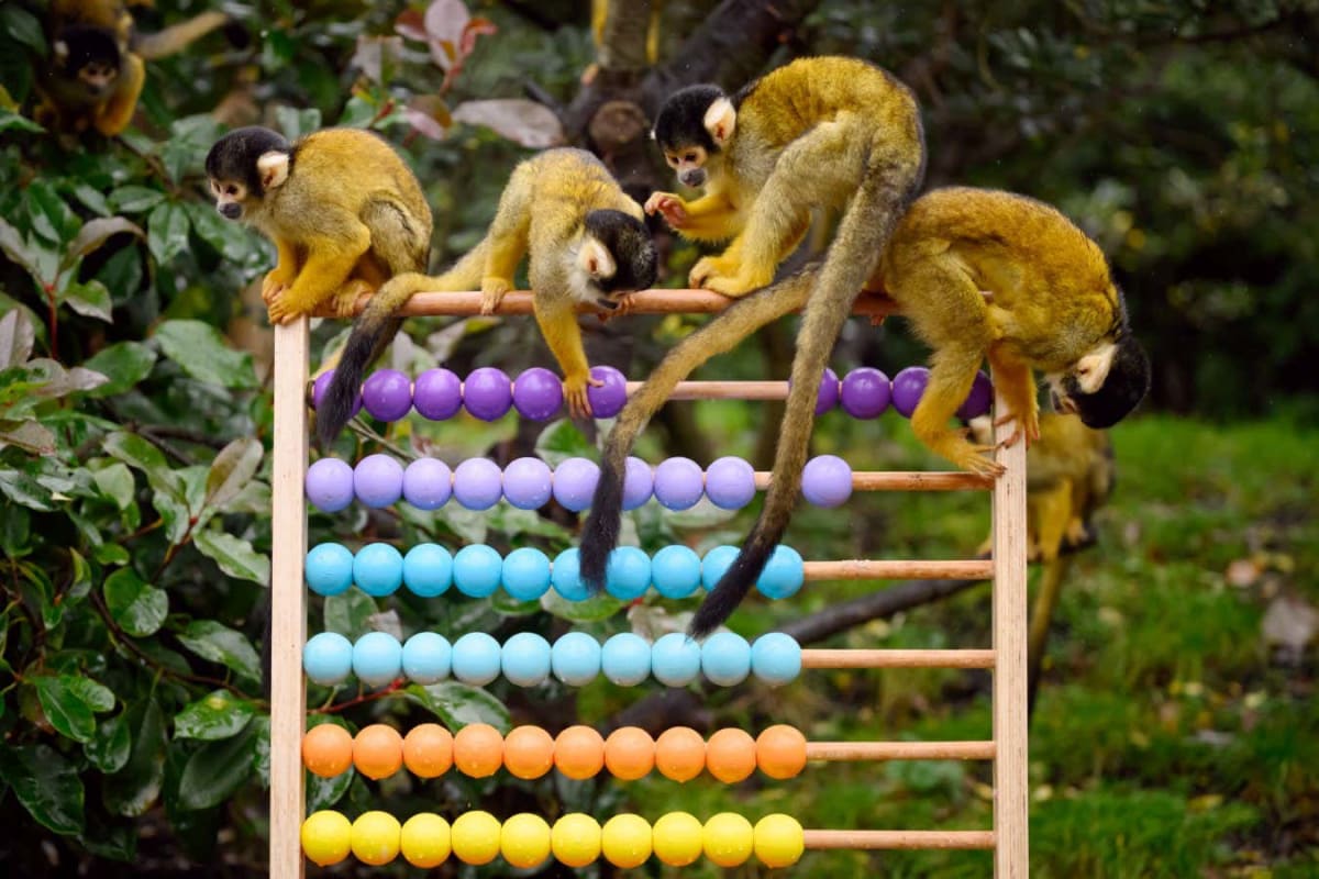 Mathematicians Discover Numbers That Grow Faster Than Infinity - Image 3