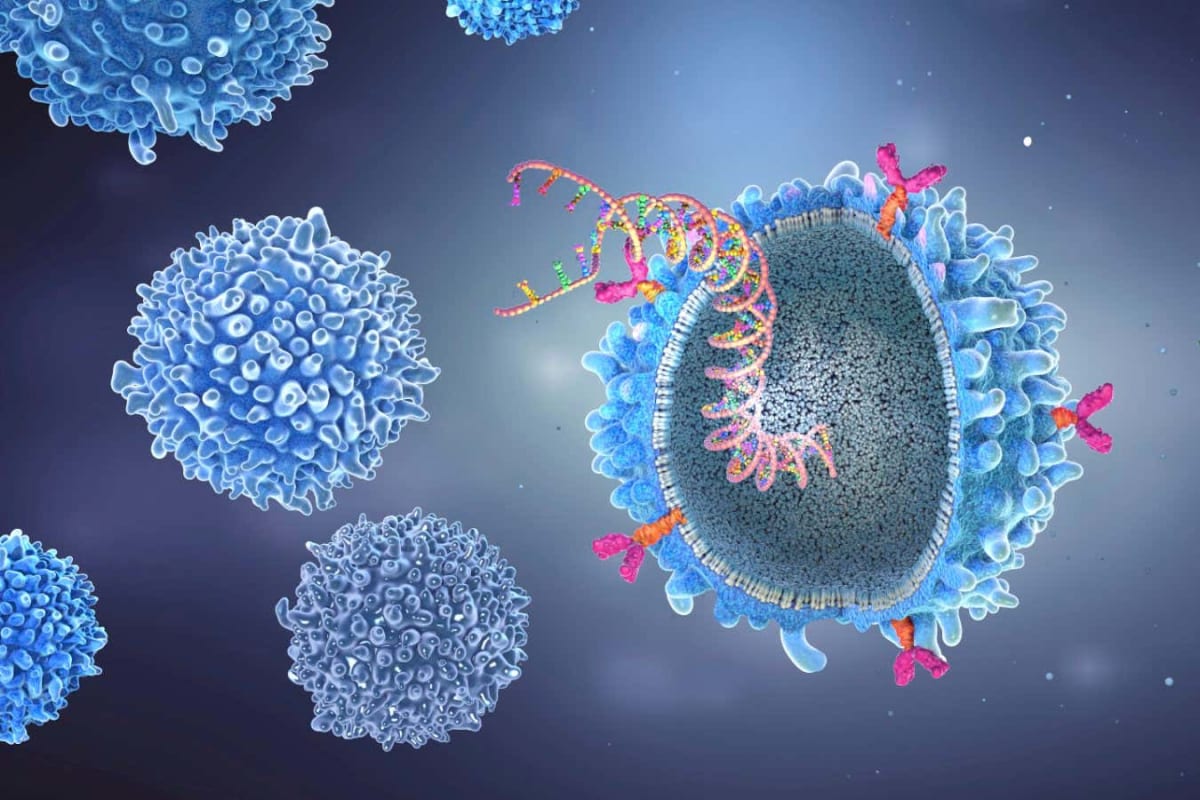 Scientific illustration of genetically modified CAR T-cell used to treat autoimmune diseases