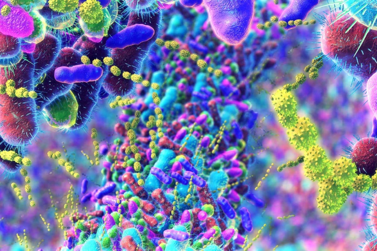 PCOS May Delay Menopause and Boost Fertility After 40 - Image 3