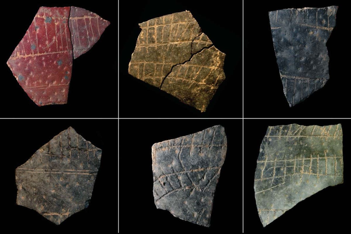 Scientists Find 100,000 Years of Ancient Containers - Image 3