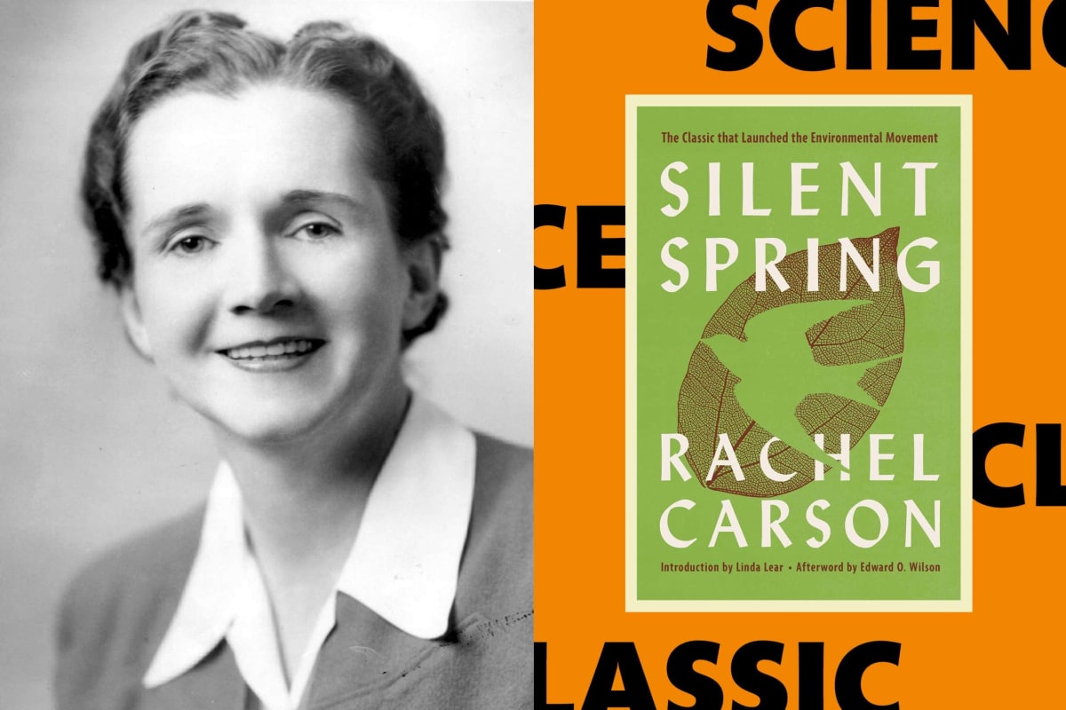 How Rachel Carson's 1962 Book Launched Environmentalism - Image 2