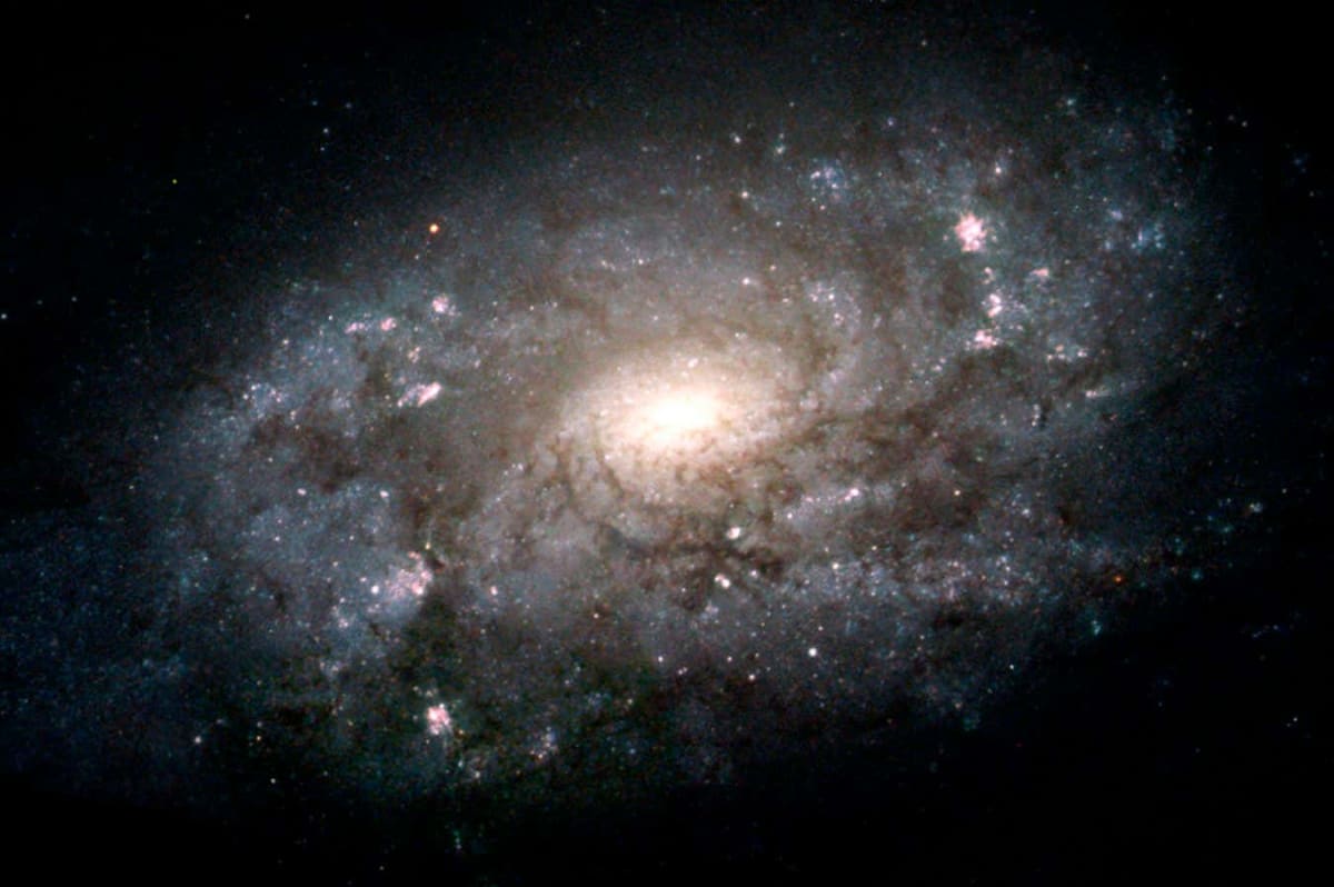 Scientists May Know if Black Holes or Galaxies Came First