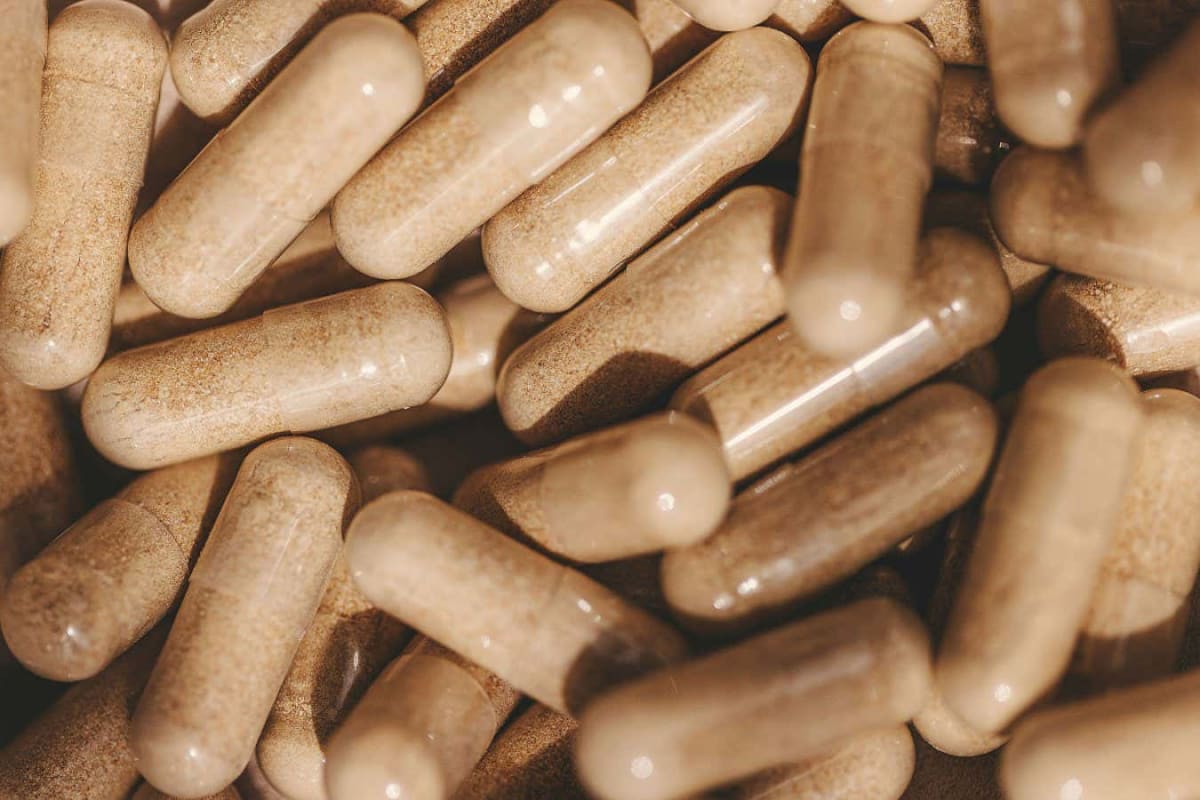 Gut Transplant Makes Old Mouse Brains Act Young Again - Image 2