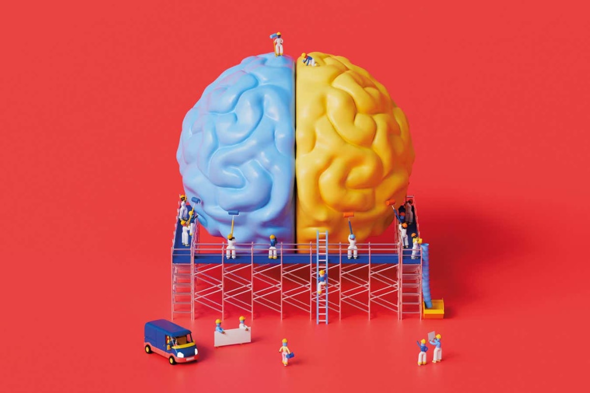 Scientists Unlock Why Some Stroke Survivors Recover Fully