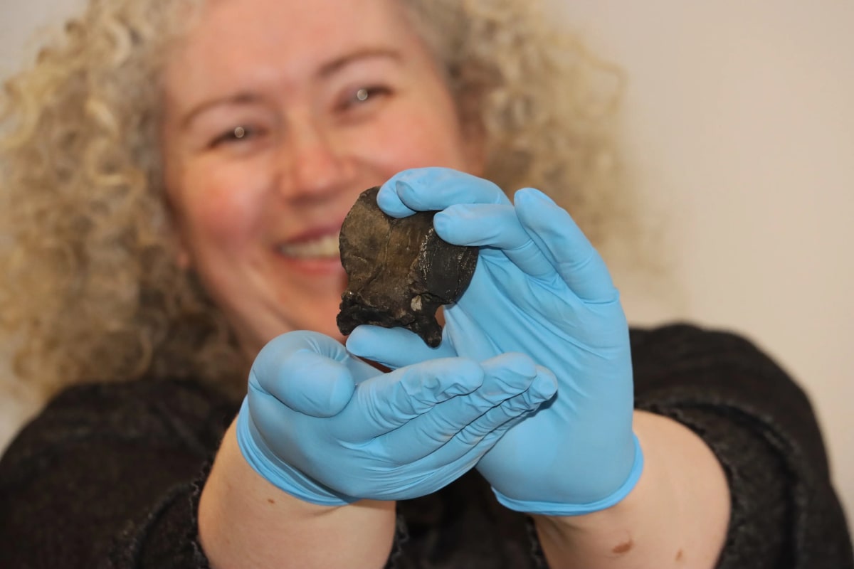 Museum Staffer's Childhood Fossil Love Sparks New Exhibit - Image 3