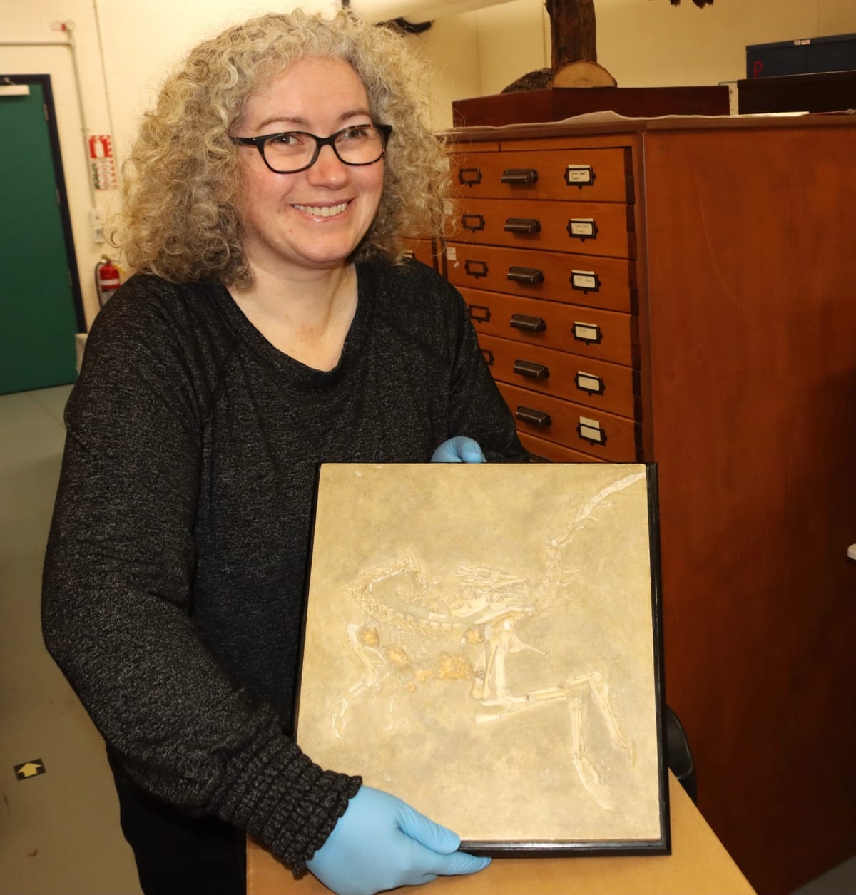 Museum Staffer's Childhood Fossil Love Sparks New Exhibit - Image 2